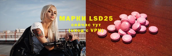 spice Новодвинск