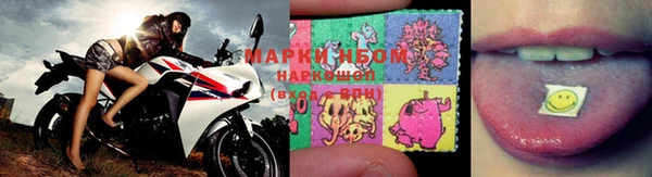 эйфоретик Новокубанск