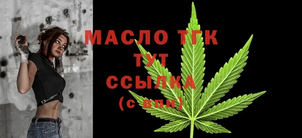 хмурый Новозыбков