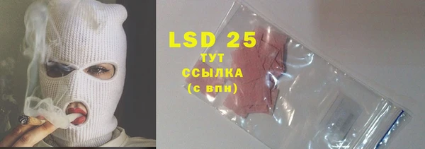 spice Новодвинск
