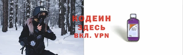 хмурый Новозыбков