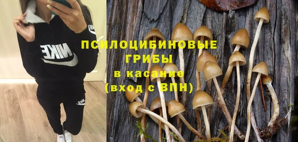 эйфоретик Новокубанск