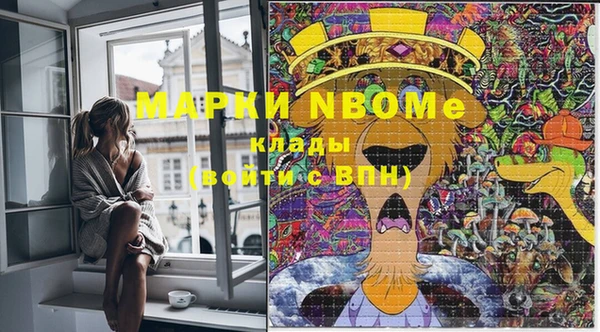хмурый Новозыбков