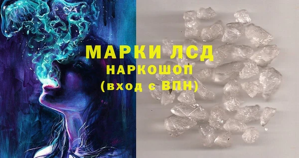 spice Новодвинск