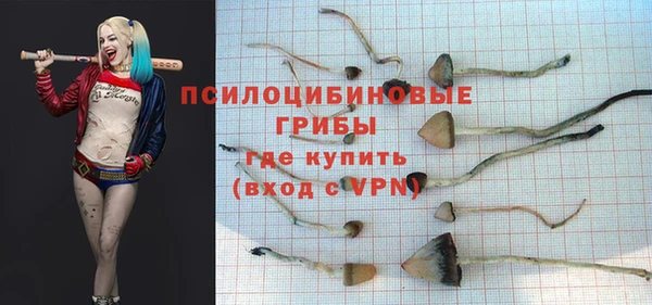 spice Новодвинск