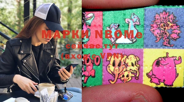 хмурый Новозыбков