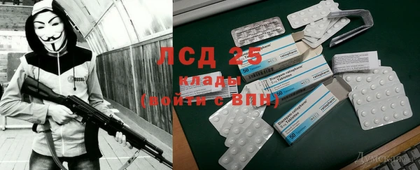 хмурый Новозыбков
