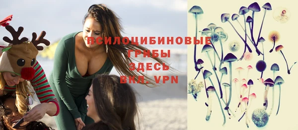 альфа пвп Нея